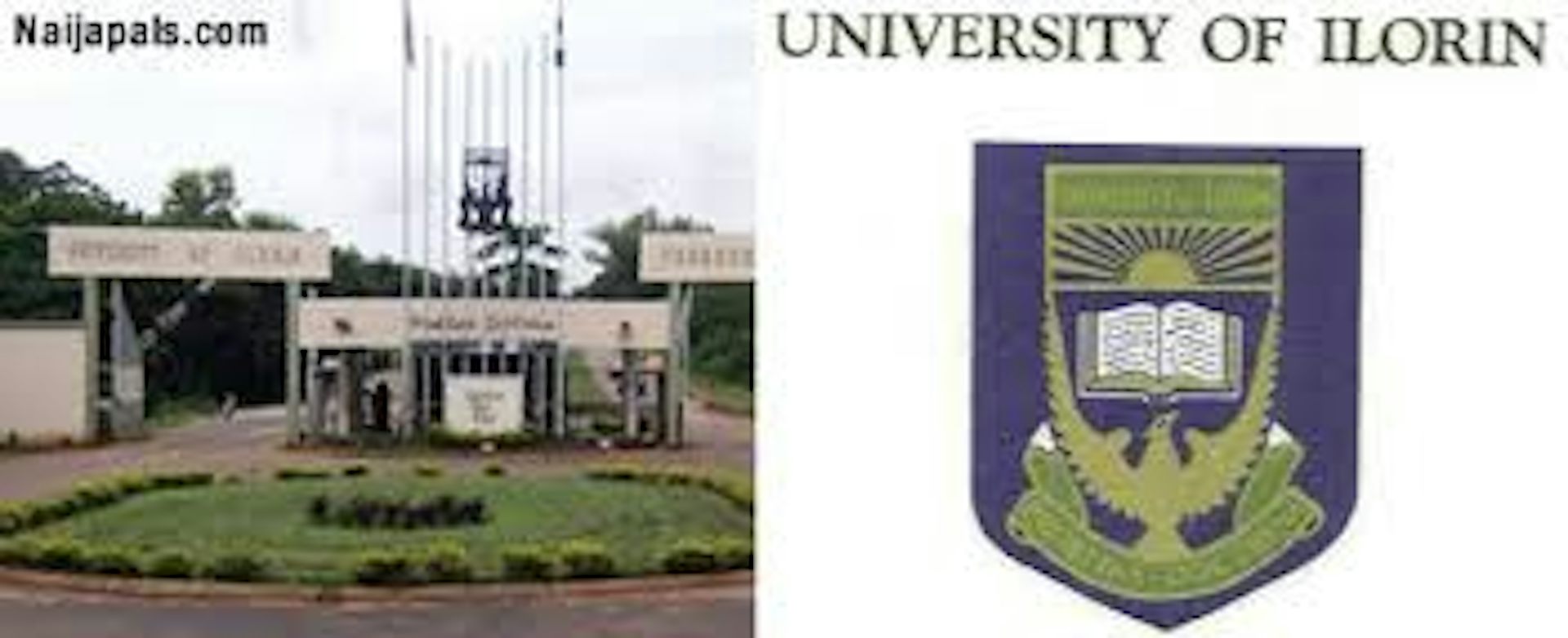 Institution logo of University of Ilorin