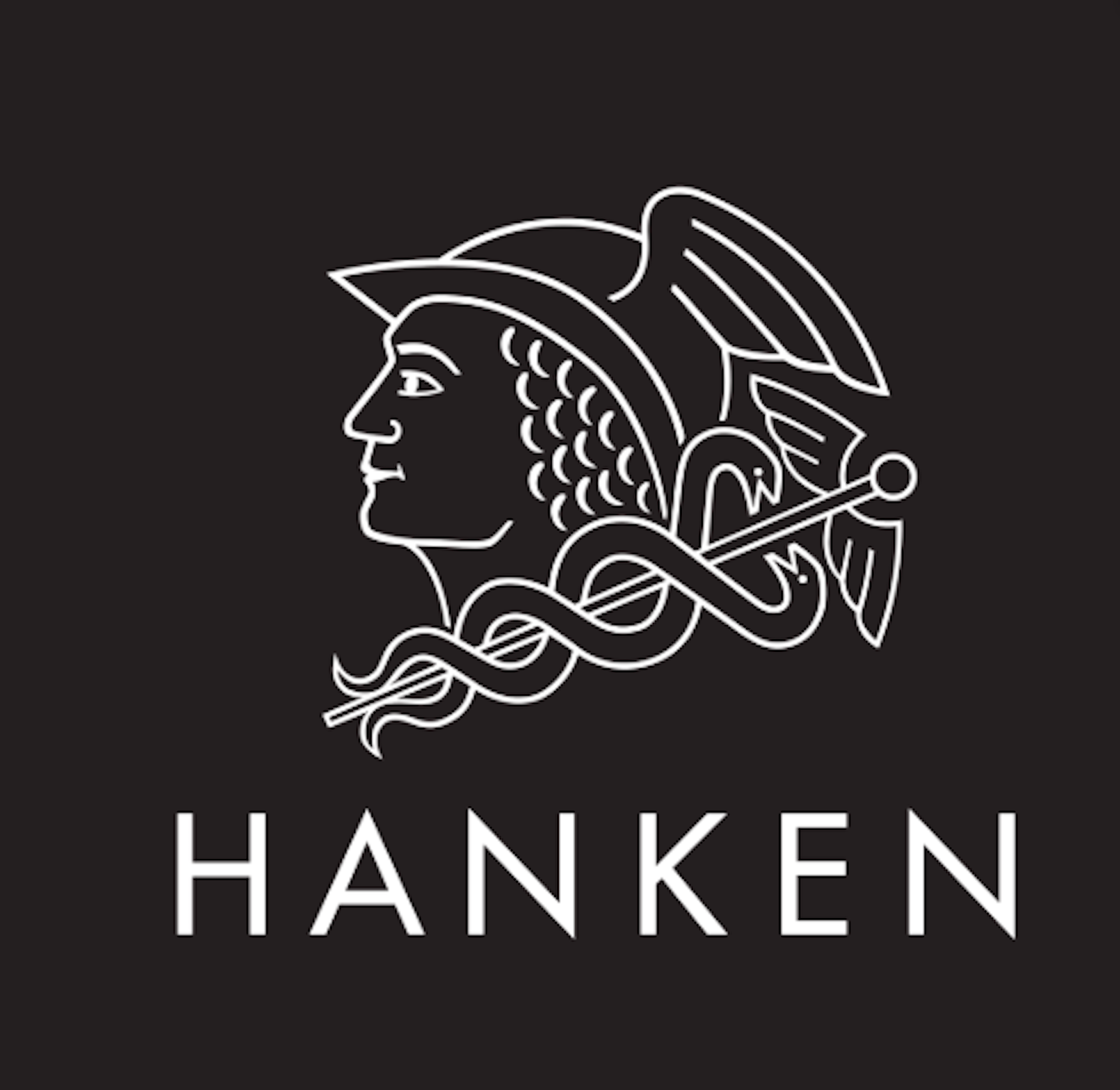 Institution logo of Hanken School of Economics