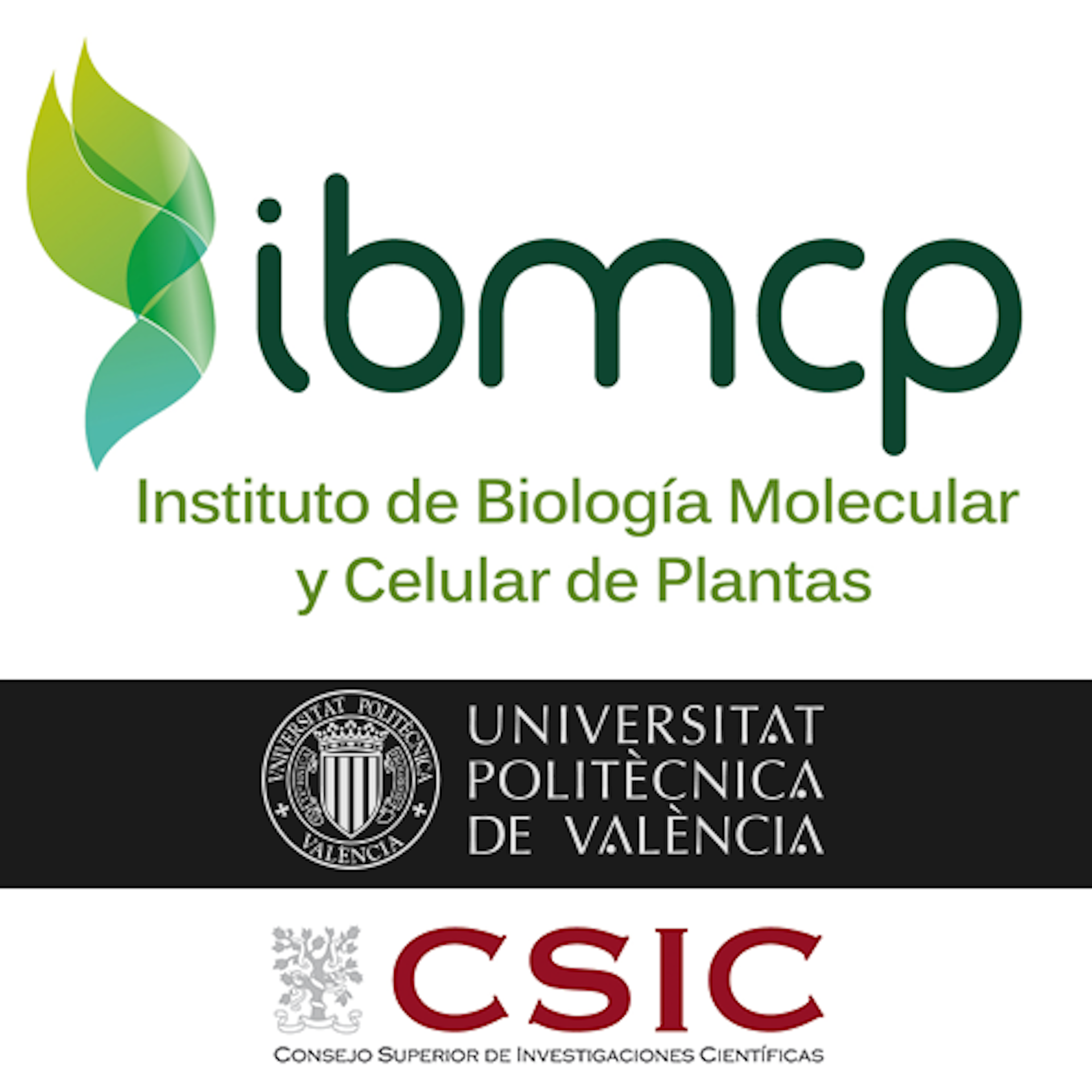 Institution logo of Instituto de Biología Molecular y Celular de Plantas IBMCP (CSIC-UPV)