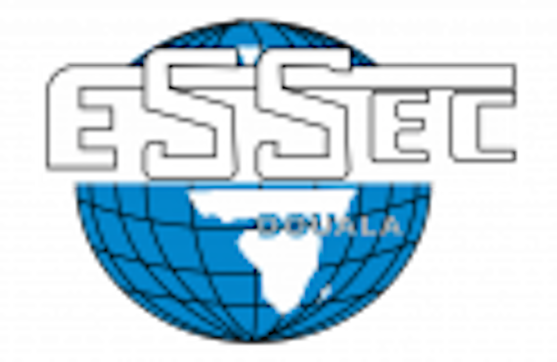 Institution logo of ESSEC de Douala