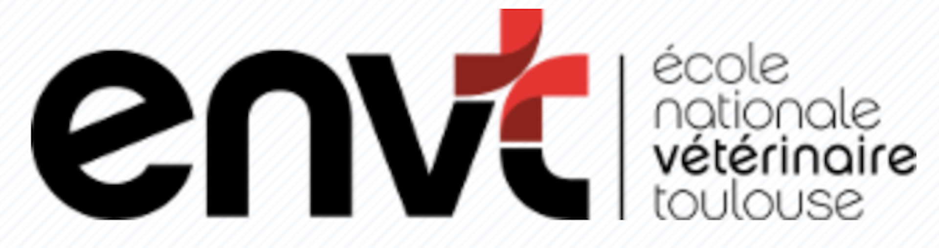 Institution logo of École Nationale Vétérinaire de Toulouse