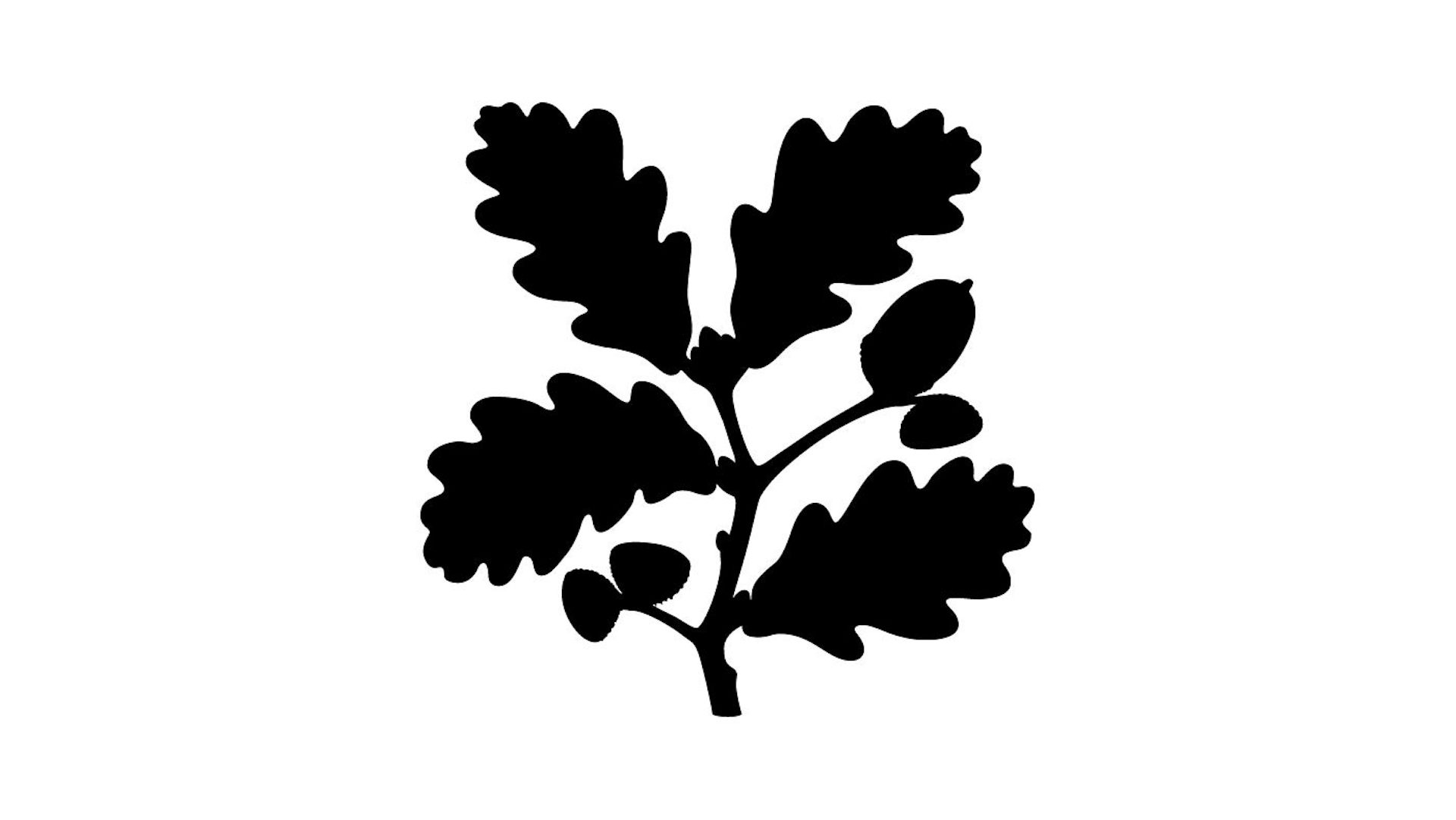 Institution logo of The National Trust
