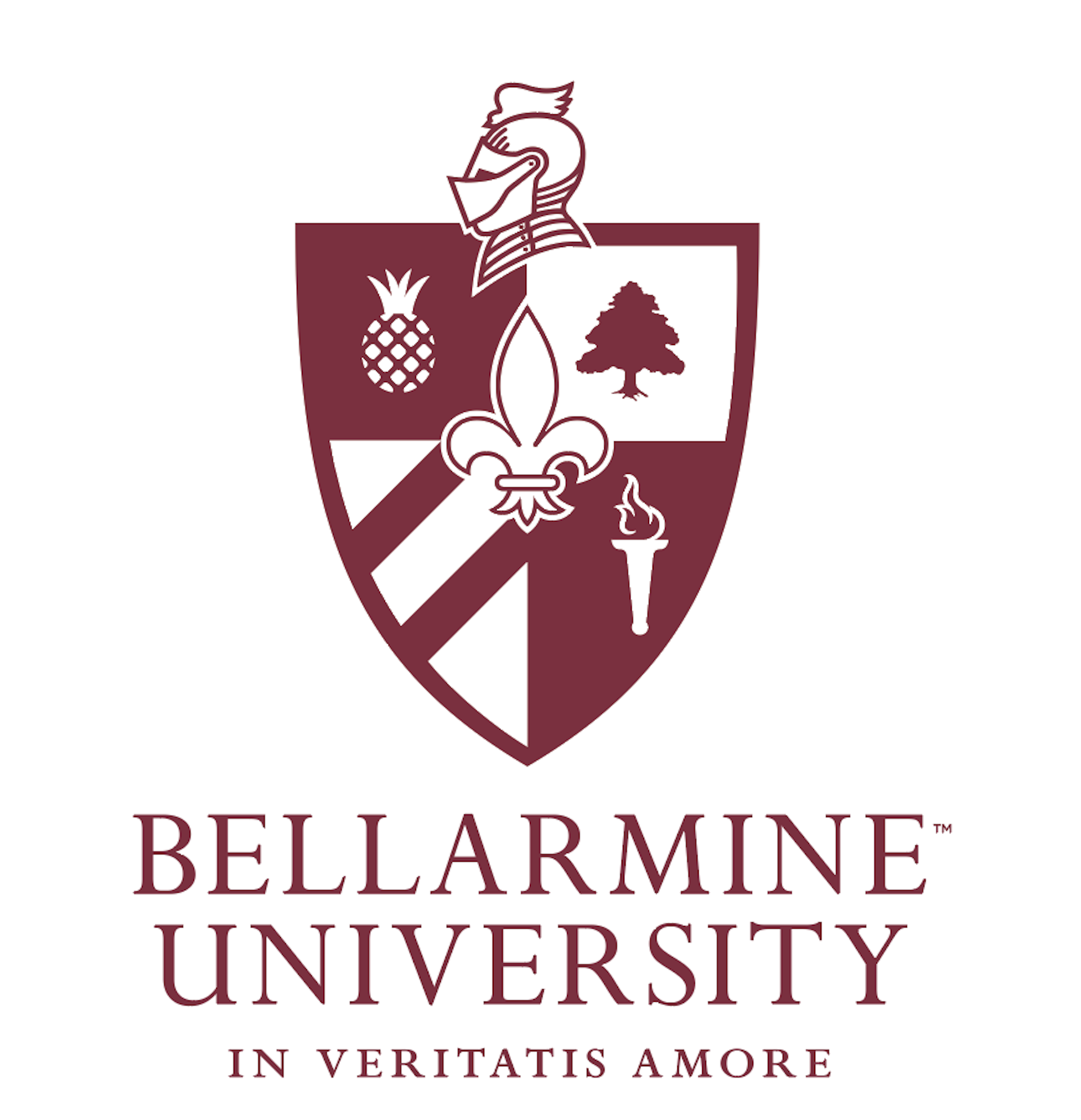 Institution logo of Bellarmine University