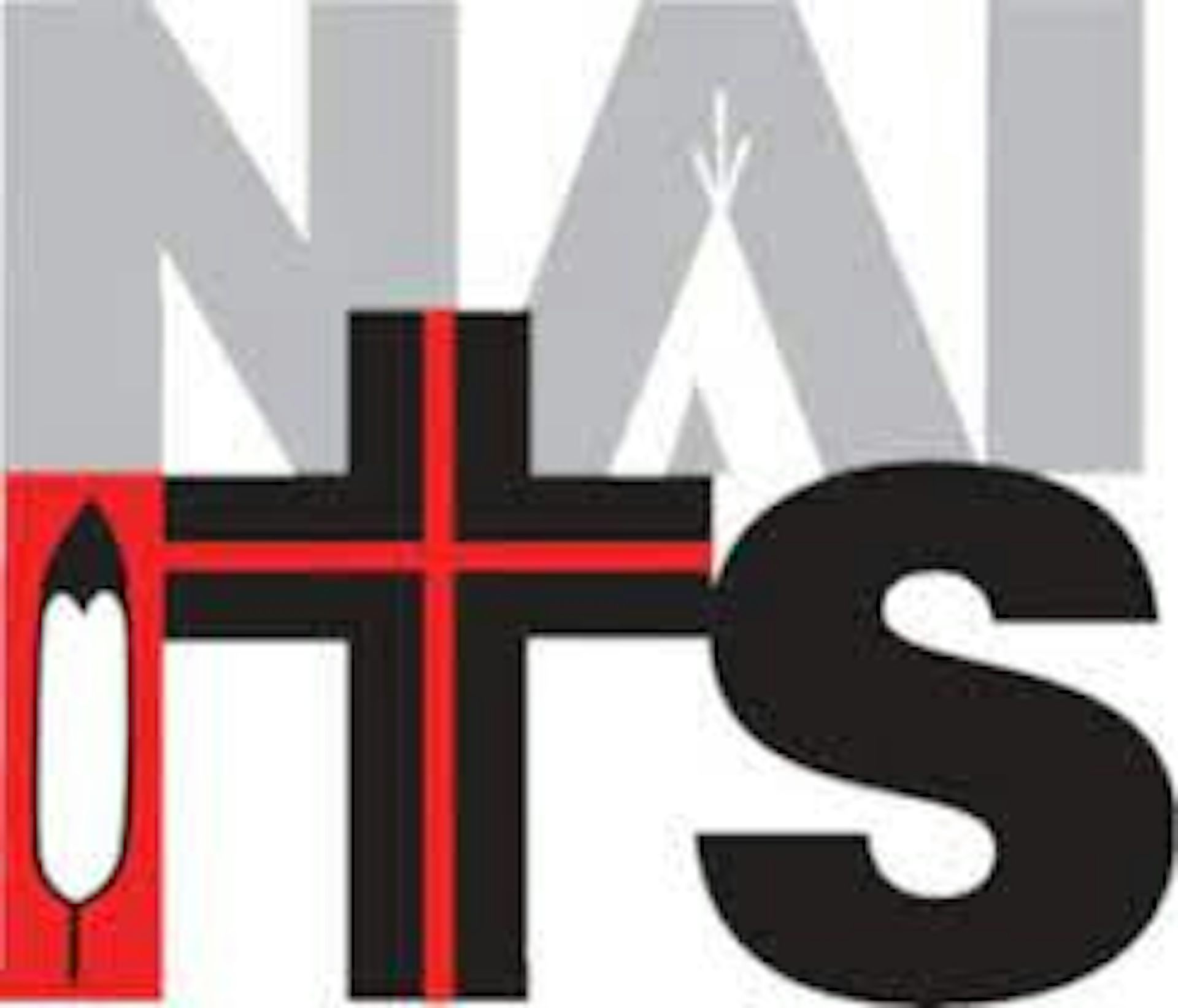 Institution logo of NAIITS 