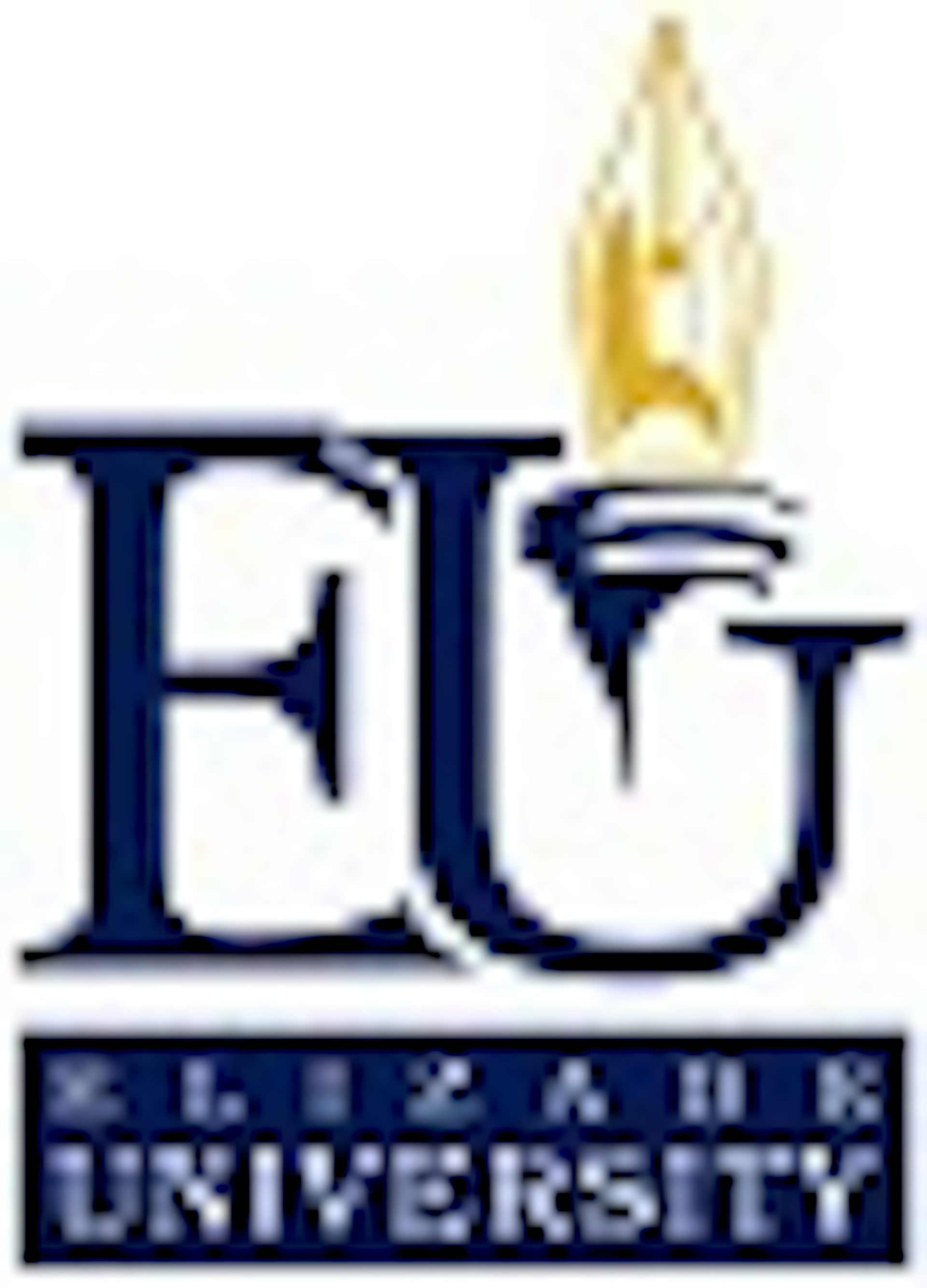 Institution logo of Elizade University 