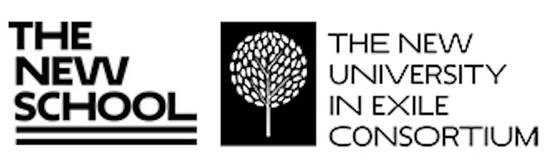 Institution logo of New University In Exile Consortium