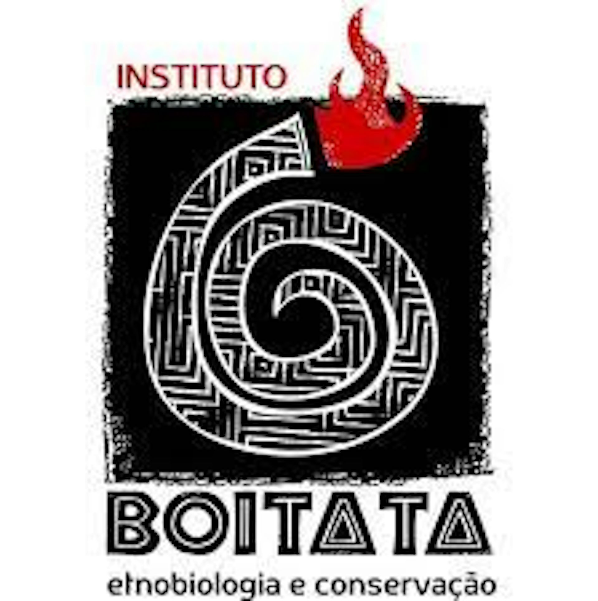 Institution logo of Instituto Boitatá
