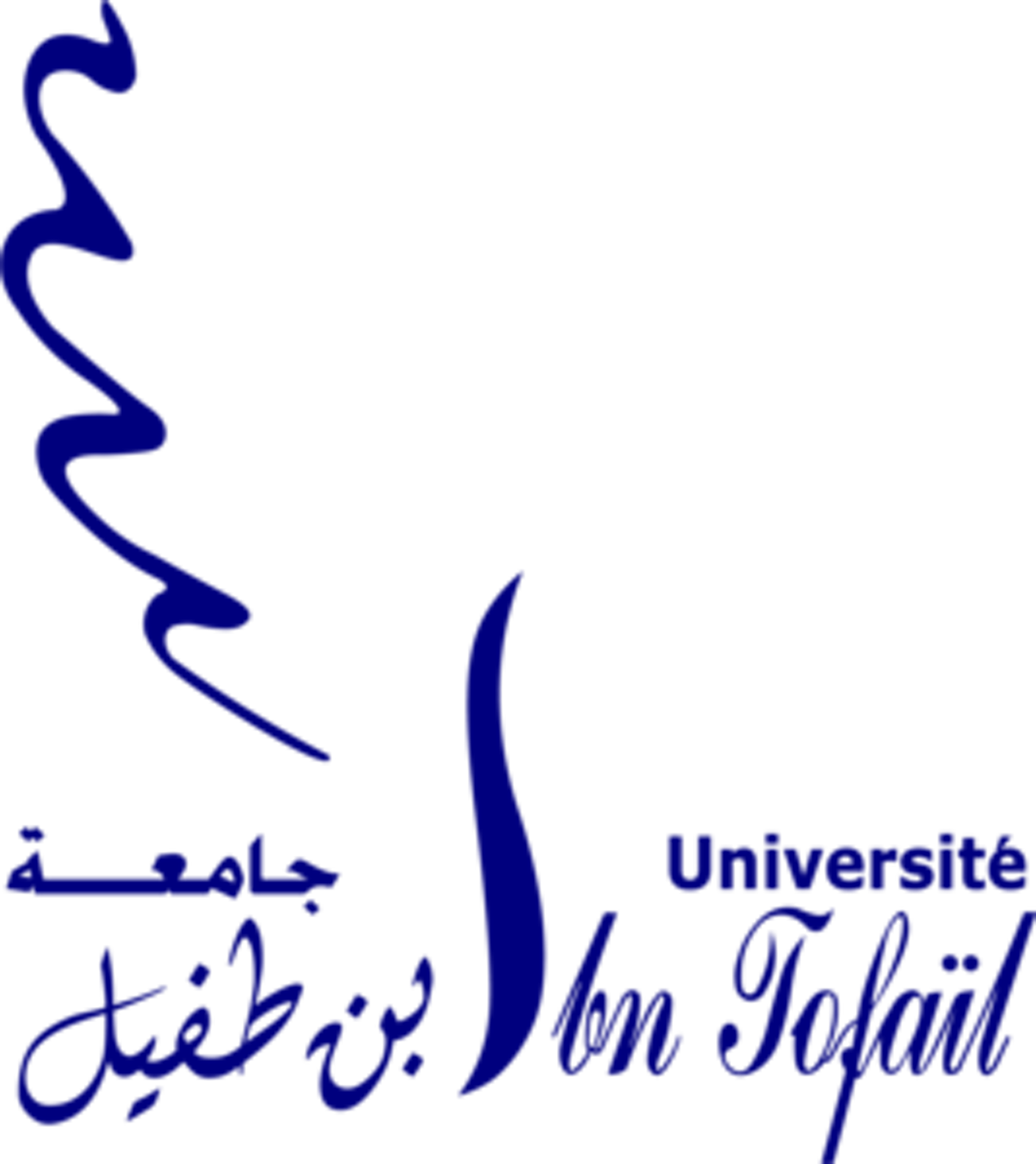 Institution logo of Ibn Tofail University