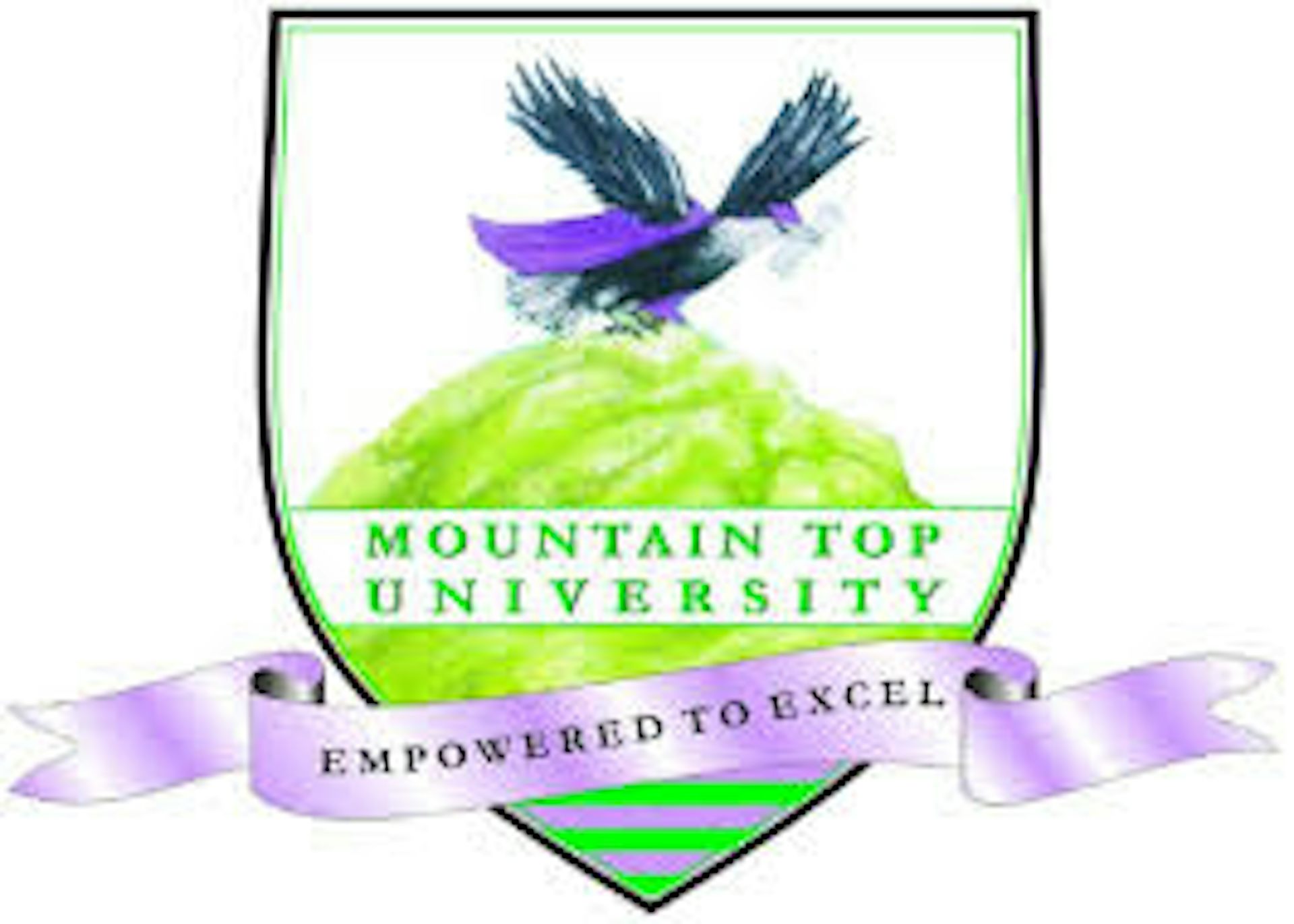 Institution logo of Mountain Top University 