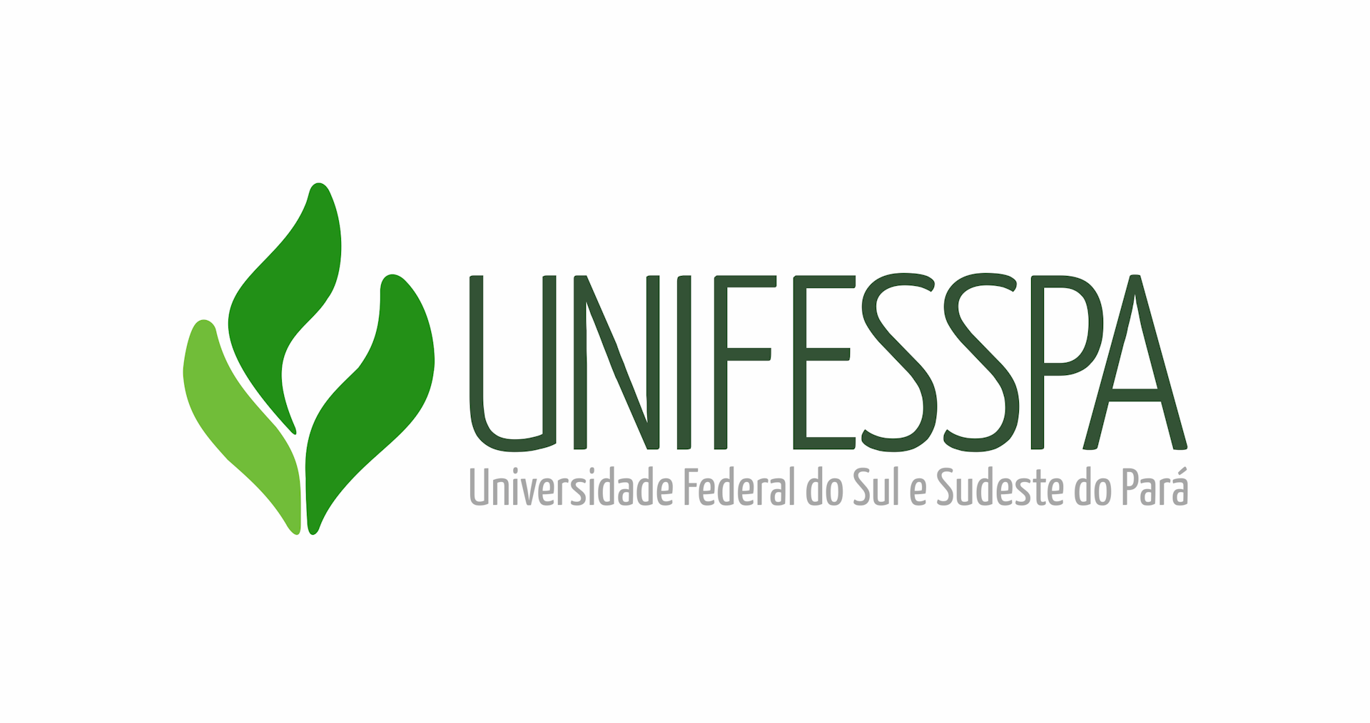 Institution logo of Universidade Federal do Sul e Sudeste do Pará (Unifesspa) 