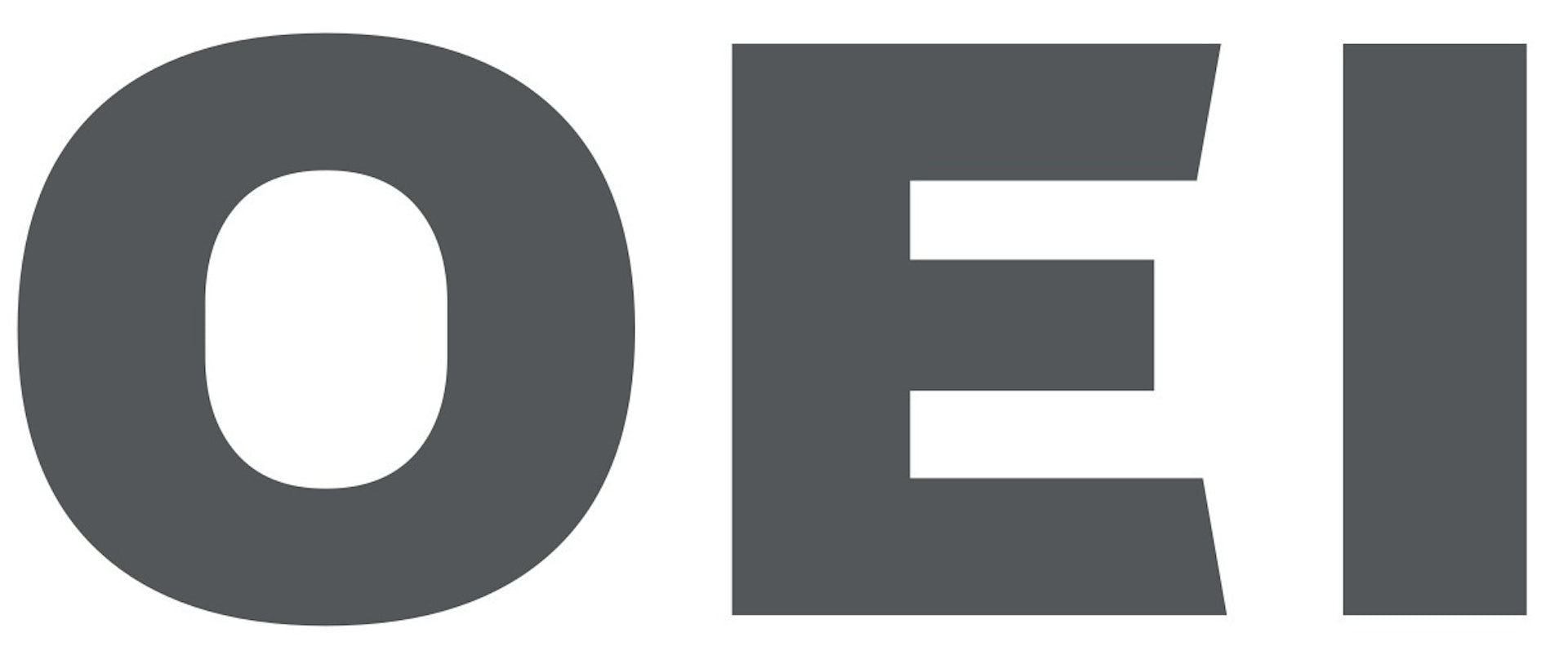 Organización de Estados Iberoamericanos para la Educación, la Ciencia y la Cultura (OEI)