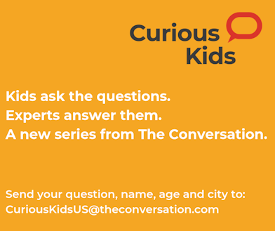 https://theconversation.com/us/topics/curious-kids-us-74795